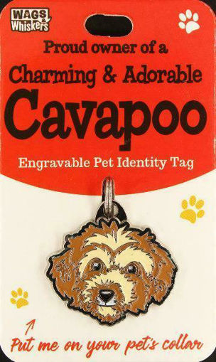 Picture of CAVAPOO ID TAG